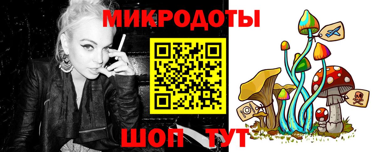 Псилоцибиновые грибы Psilocybine cubensis Осинники