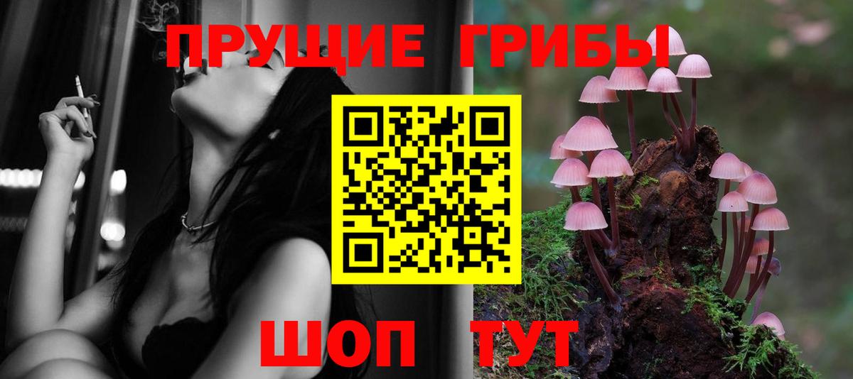 Галлюциногенные грибы ЛСД  Галлюциногенные грибы Cubensis  Вход с VPN  Осинники 